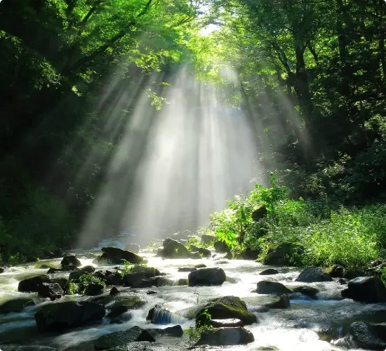 İnsana Yakışır Sorumlu Üretim ve Tüketim