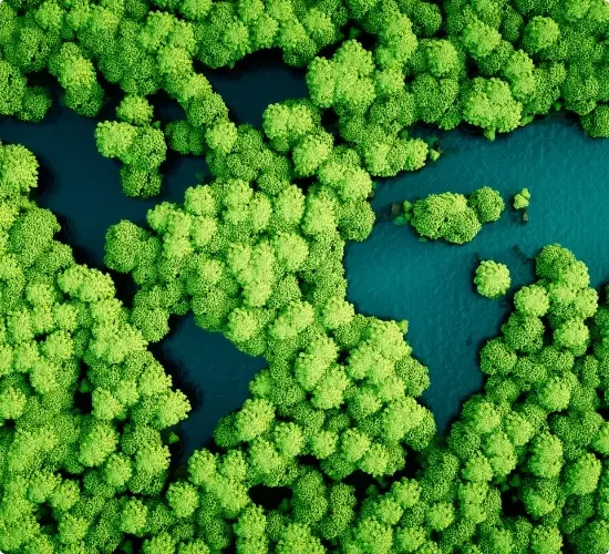 DermoBeyond 2030 Sürdürülebilirlik Hedefleri