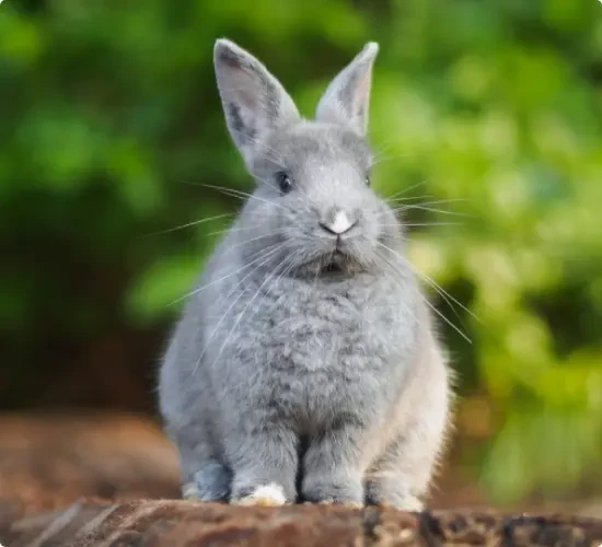 İklim Eylemi İçin: GÜZELLİK DOĞANDA VAR